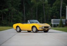 The Dino You Can Still Afford