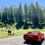 The Stella Alpina 2020 Is About To Start