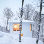 Poisson Blanc By Naturehumaine