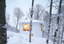 Poisson Blanc By Naturehumaine