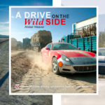 A Drive On The Wild Side