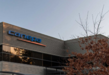 Canepa’s New Arrivals