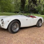 Cobra 260 – A Rare Survivor #happymotoringfilms