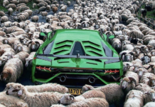 Eyecandy: Our Instagram Favorites Of The Week #9 Eyecandy: Our Instagram Favorites Of The Week #9