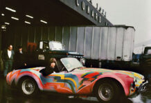 A Day In A Life – A Cobra And A Famous Beatles Song