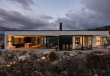 Black Quail By Bergendycooke