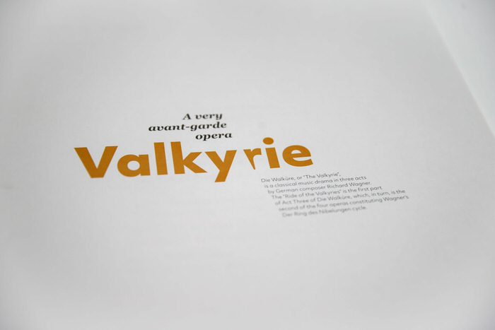 kl paginas Valkyrie retail 33 scaled 1