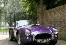 AC289 Sports: The Life And Times Of A Purple Cobra AC 289 Sports: The Life And Times Of A Purple Cobra