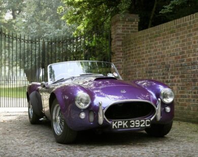 AC289 Sports: The Life And Times Of A Purple Cobra