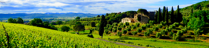 PANO TOSCANE 9900000000079e3c