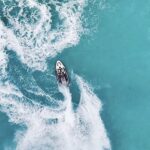 Orca Electric Powered By Taiga