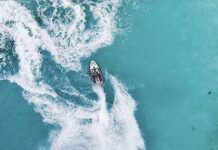 Orca Electric Powered By Taiga