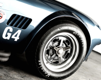 Shelby's Wildlife: Cobra 289 Race