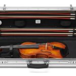 Rimowa Ă— Gewa Violin Case