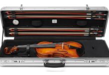 Rimowa × Gewa Violin Case