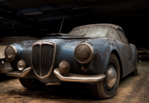 The Palmen Barnfind Collection Is Online