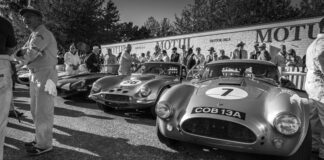 collectorscarworld DayBreak #817