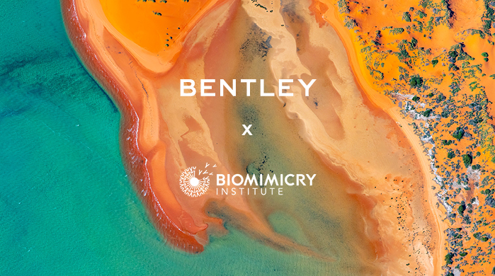 Bentley Environmental Foundation 3