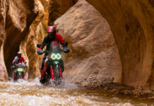 Explore With The New Ducati DesertX Rally