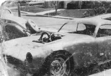 Milt Mallory’s Atlas Swallow