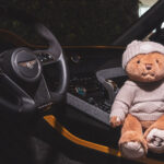 Bentley Bears Are Driving Home For Christmas