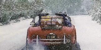 collectorscarworld DayBreak #966