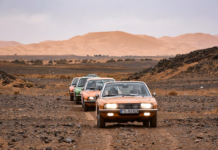 Seven RO 80 Survived The Sahara