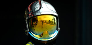 collectorscarworld DayBreak #990