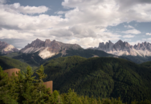 Forestis Dolomites