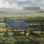 Work, Love And Patience: Diana Porsche