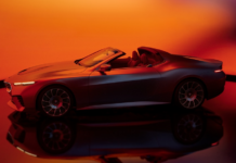 The BMW Concept Skytop