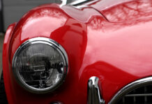 American Beauty – The Legendary Cobra American Beauty - The Legendary Cobra