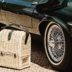 Picnic In Style With Connolly