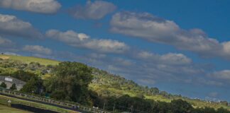 collectorscarworld DayBreak #1135