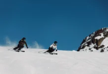 The Porsche X HEAD Collection