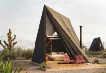 Bold – Beautiful – Big: The NKN Softshell