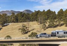 The New Airstream Midnight Flamingo