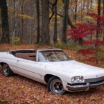 Beloved Buick: The Centurion Beloved Buick: The Centurion