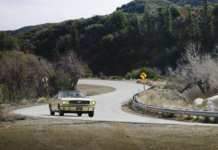 How Did The Collector Car Market Startet In 2025?