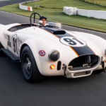 5 Snakes Bite Again At Mecum Kissimmee 2025