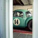 Timeless Purity Timeless Purity