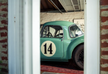 Timeless Purity Timeless Purity