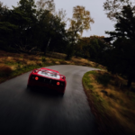 Gallery Aaldering: New Arrivals