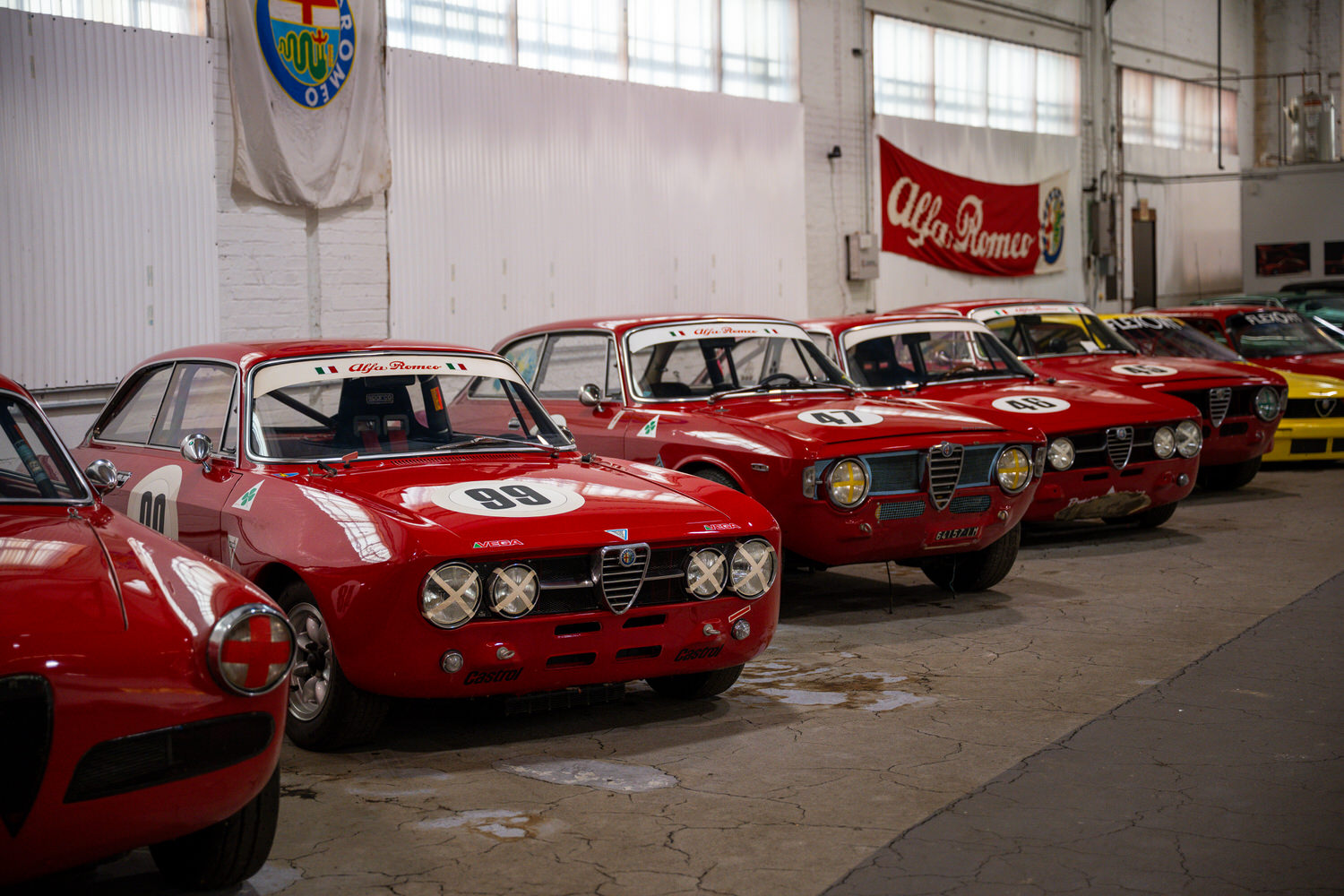 Alfa Collection 006