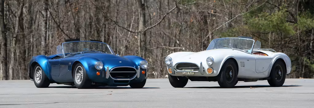 Cobras And Their Kin - 4 Alternatives 14 Broad Arrow Cobras scaled 1