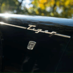 Cobras And Their Kin – 4 Alternatives