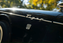 Cobras And Their Kin – 4 Alternatives