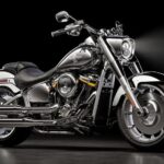 2025 Harley-Davidson Fat Boy Gray Ghost Motorcycle