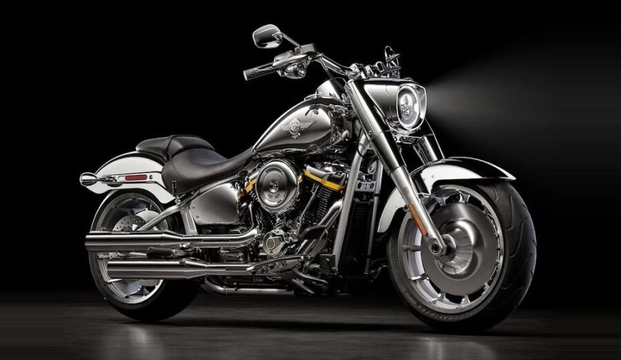 2025 Harley-Davidson Fat Boy Gray Ghost Motorcycle