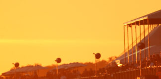 collectorscarworld DayBreak #1375